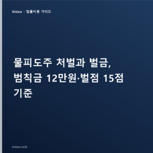 물피도주 처벌과 벌금, 범칙금 12만원·벌점 15점 기준